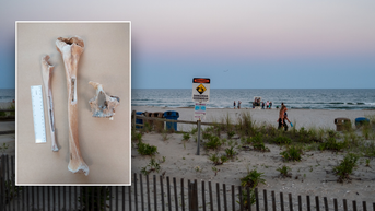 Bones that puzzled Jersey Shore for decades finally identified, thanks to students - FOX 极速赛车168开奖官网开奖 News